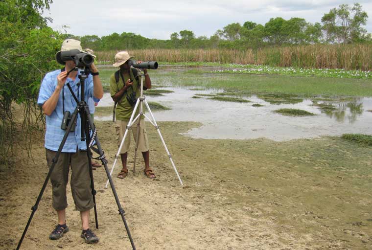 Bundala National Park