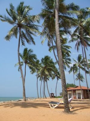 Negombo