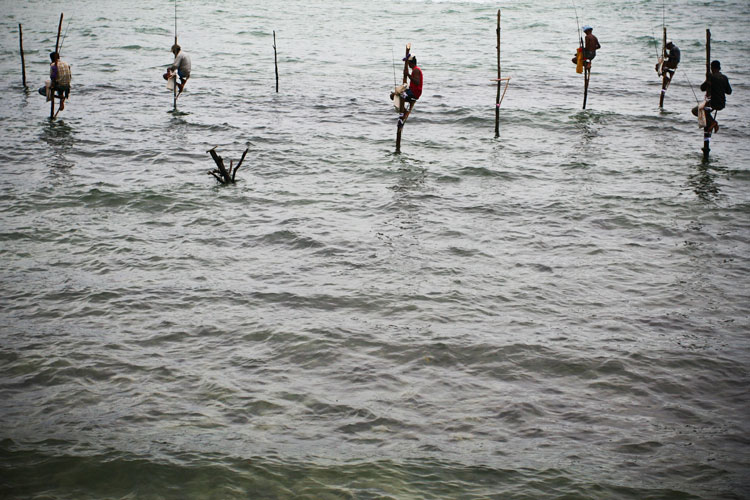 Galle Banner
